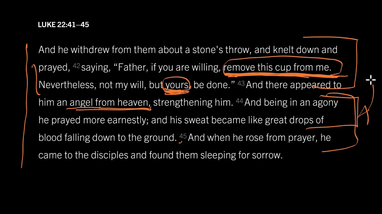 Jesus’s Prayer in His Darkest Hour: Hebrews 5:7–10