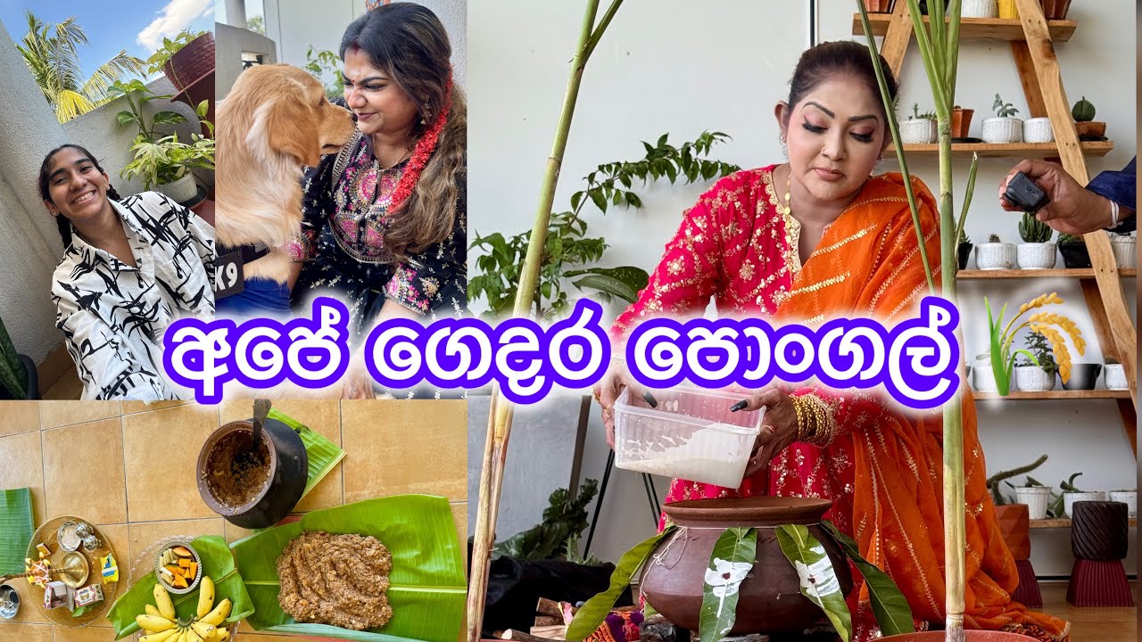 පොංගල් සමරන්න හේතුව | අපි දෙන්නාගේ තල තයි පොංගල් 🌾❤️ Anjali Rajkumar Vlogs 