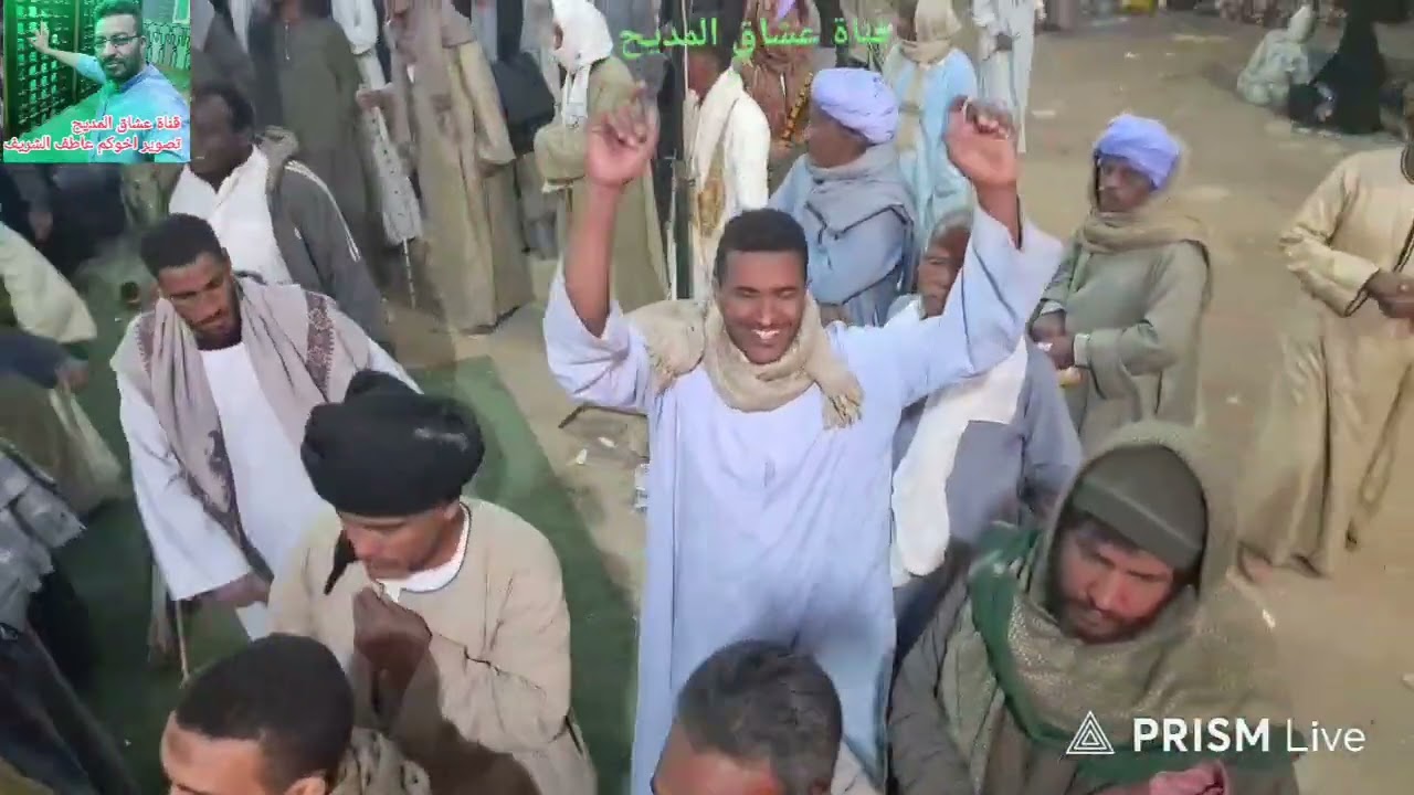 الشيخ محمود الحلاوي من مولد سيدي النجار ابوعلي  المحاميد ادفو اسوان ١٢-٢-٢٠٢٦ 