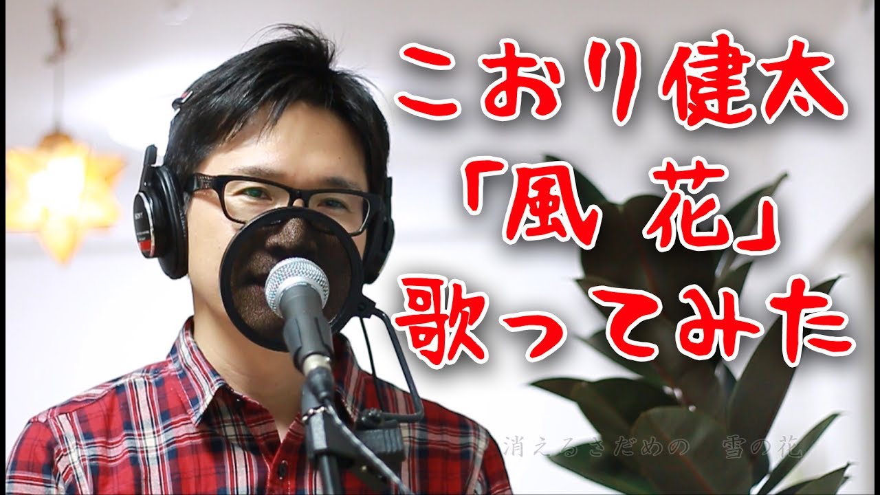 風花／こおり健太 cover by Shin