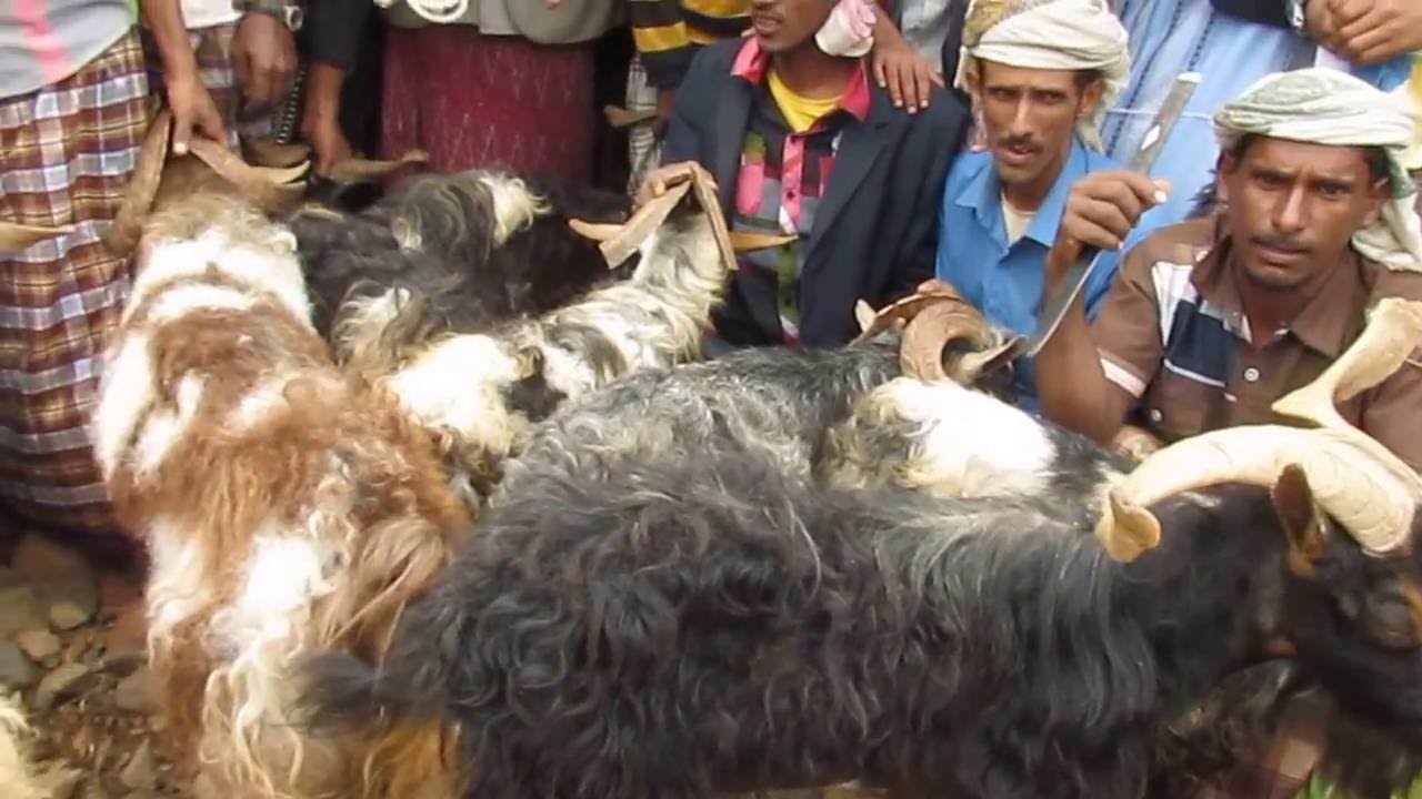 Socotra, Old prayer.