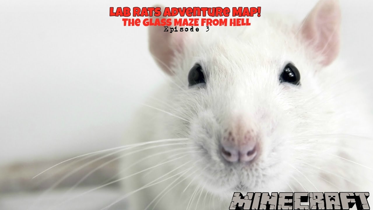 Lets Play Minecraft! ~ Lab Rats Adventure Map Ep 3 ~ GLASS MAZE FROM HELL!