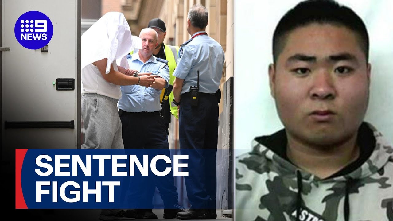 Prosecutors fight to keep murderer behind bars | 9 News Australia