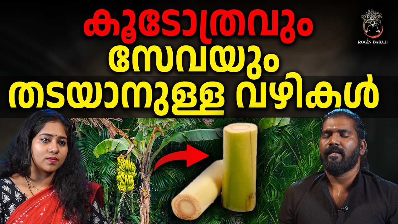 കൂടോത്രം ഏൽക്കാതിരിക്കാൻ വാഴപ്പിണ്ടി കൊണ്ടുള്ള പ്രയോഗം #roginbabaji #rojinbabaji #spirituality