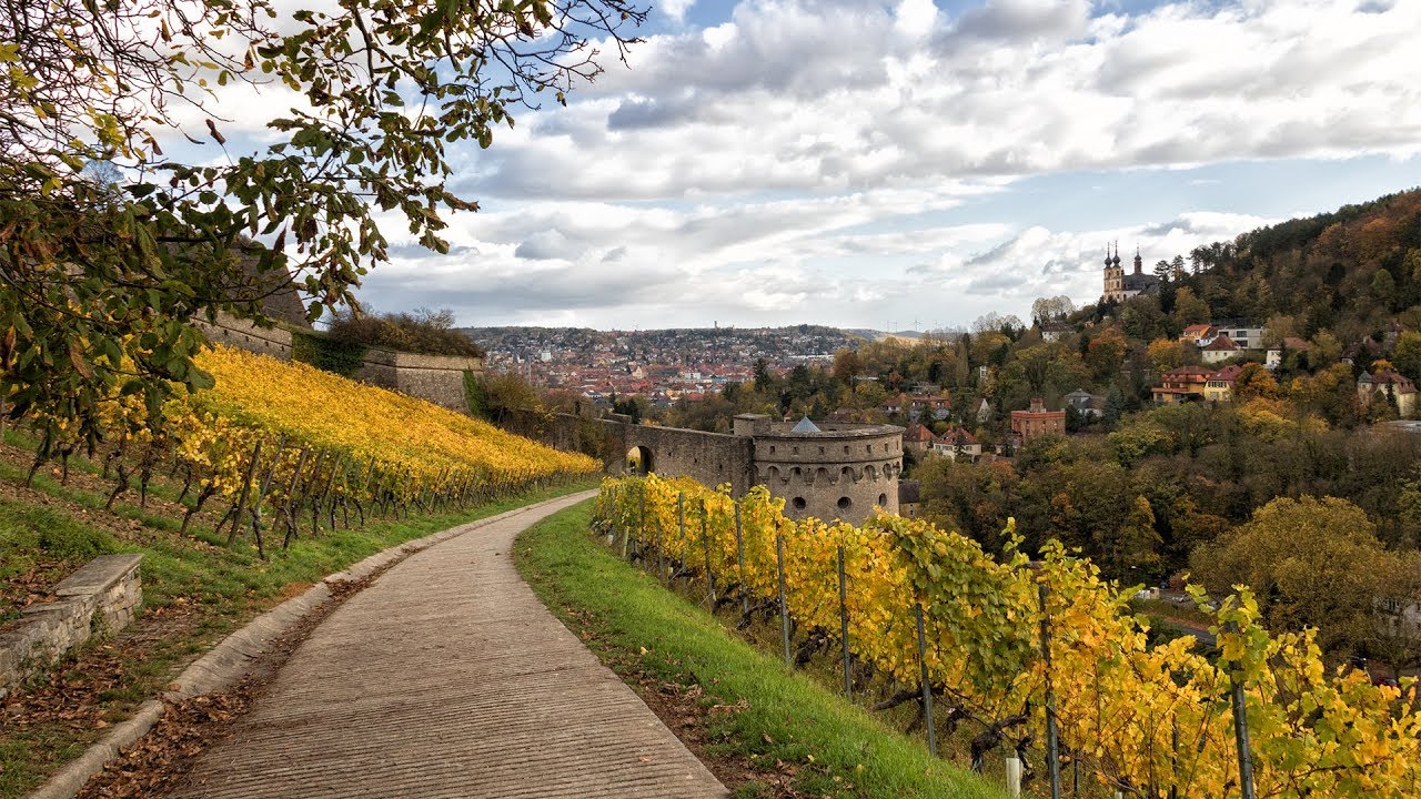 Weinwanderweg an der Festung Marienberg | Unterwegs in Würzburg