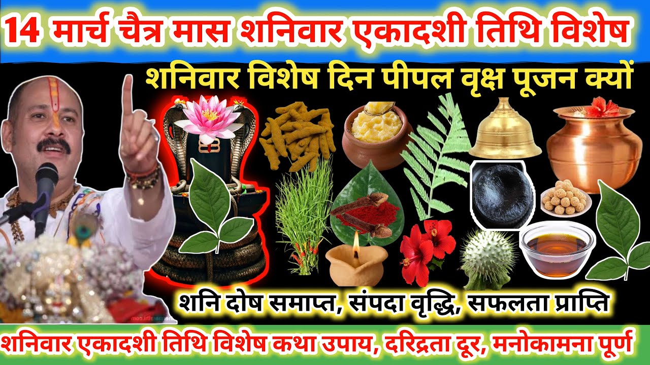14 मार्च शनिवार एकादशी तिथि विशेष। पीपल वृक्ष का पूजन क्यों, शनि दोष समाप्त ,संपदा वृद्धि🔱🌿#viral
