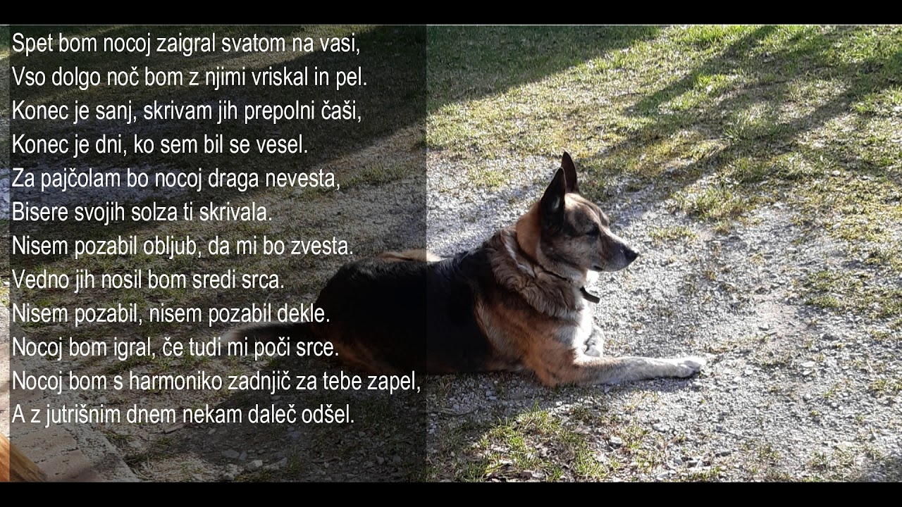 Nisem pozabil