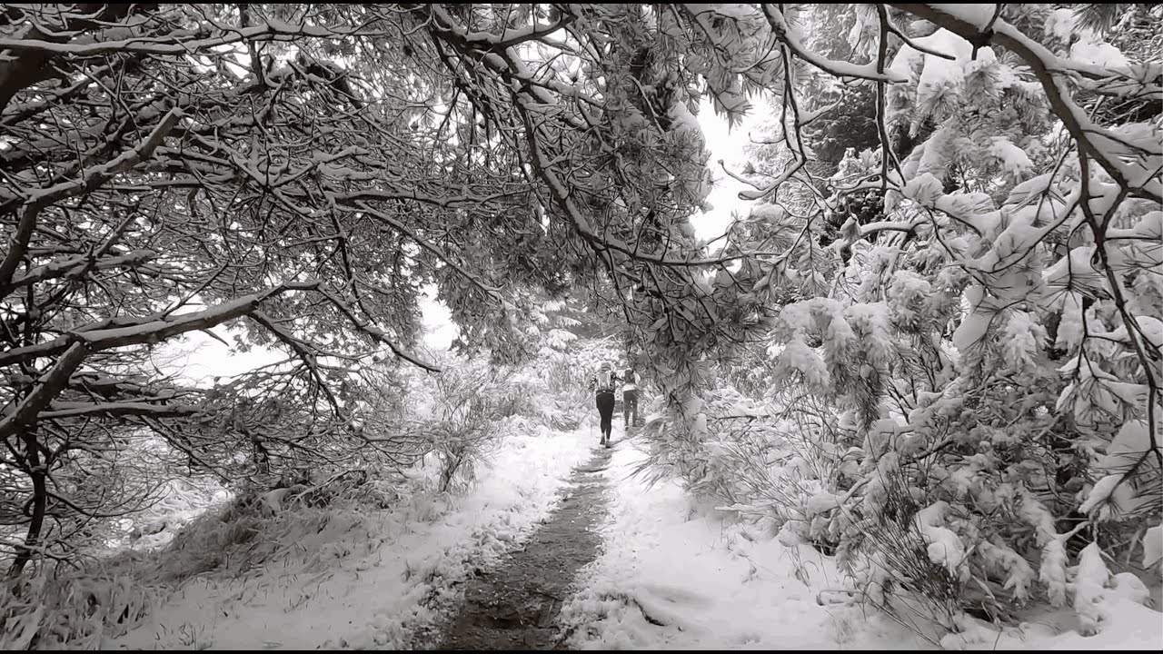 Trail du Vulcain 2024 : Marathon Volcanique sous la neige
