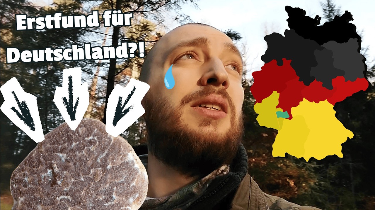 Seltener Pilz in Deutschland! - Tuber anniae, Olivbrauner Trüffel (#wald #natur #mushroom #usa)
