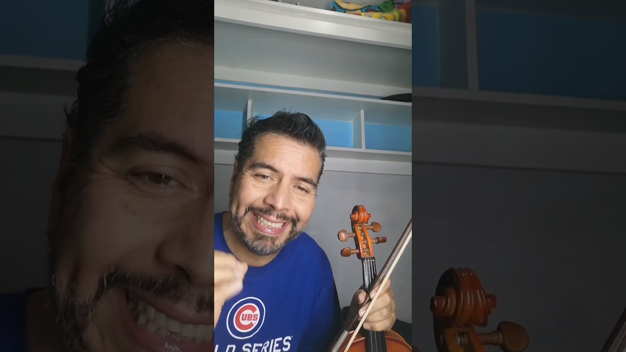 el zopilote mojado, violín gari...