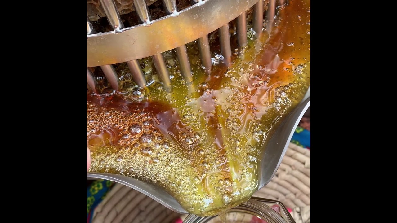 فرز اقراص العسل بالكبس بمكبس الاستيل