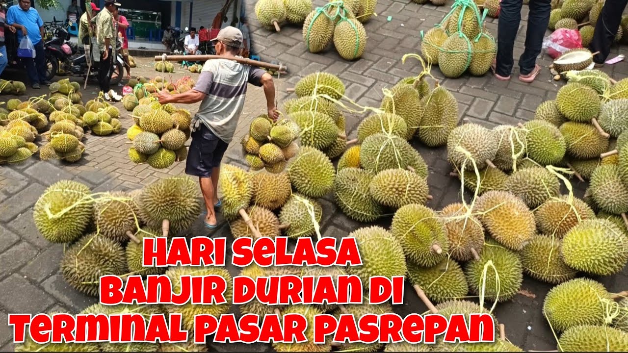HARI SELASA BANYAK DURIAN TAPI BUKAN PANEN RAYA ADA PISANG ALPUKAT SRIKAYA RAMBUTAN & REMPAH