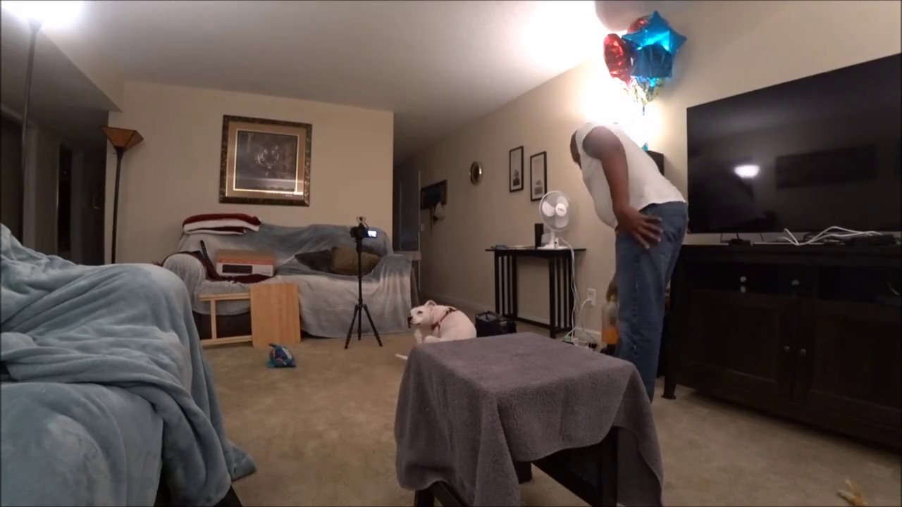 Behind the scenes...