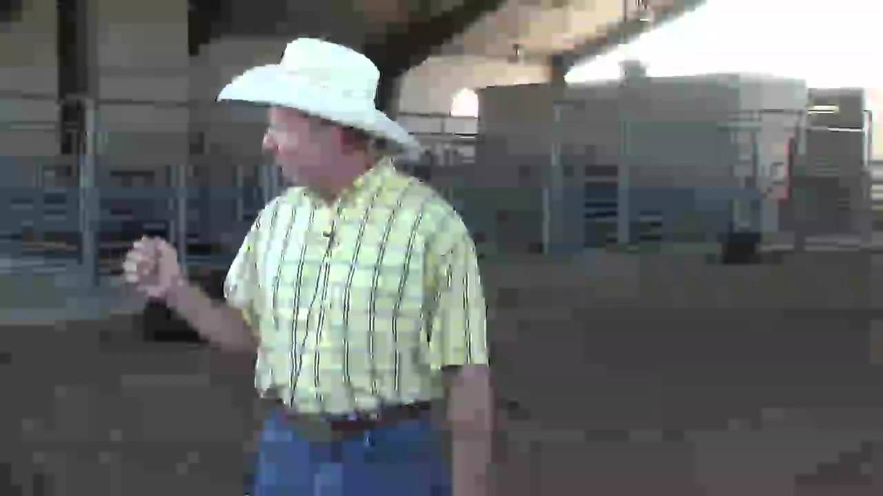 Bruce Carpenter - Cattle Reproduction - Postpartum Anestrus