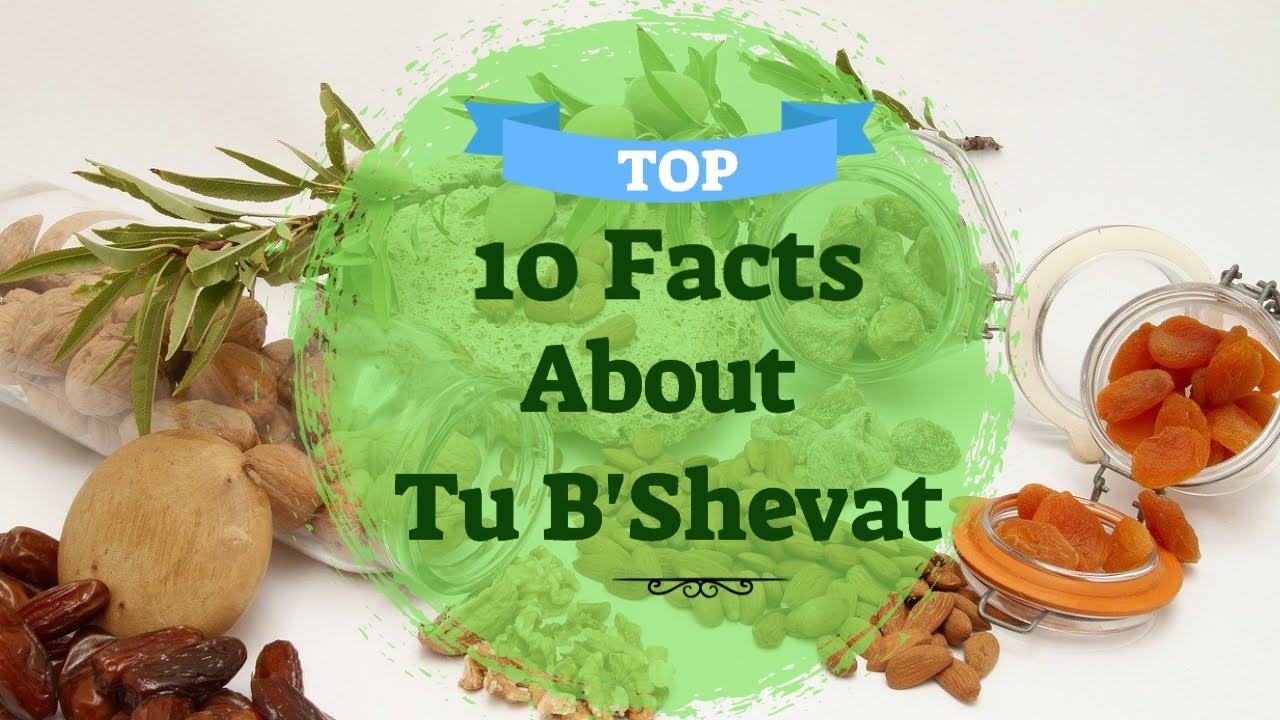 10  Facts About Tu BiShvat | Facts About Tu B'Shevat