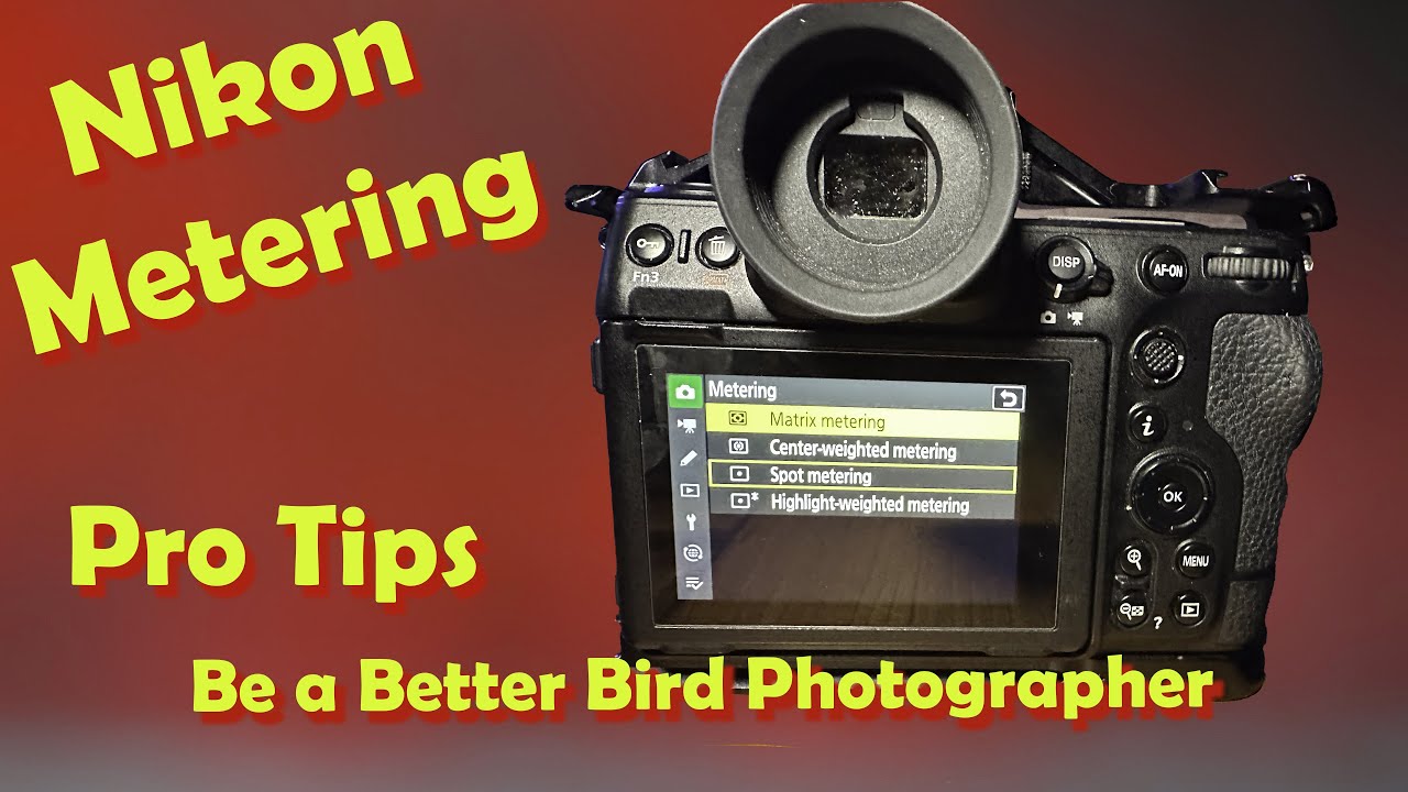 Metering Modes on Nikon, recommended for Wildlife-  part of my Be a Better Bird Photographer series