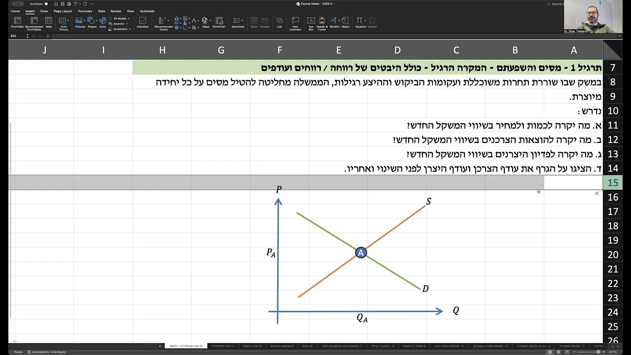 שיעור 12 מיקרו כלכלה 21.1.2025