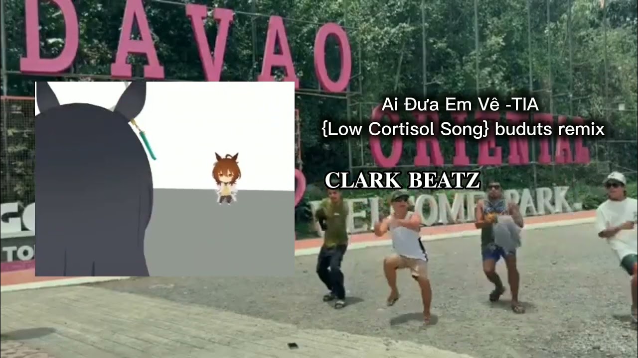 Ai Đưa Em Vê -TIA {Low Cortisol Song} but buduts remix | CLARK BEATZ