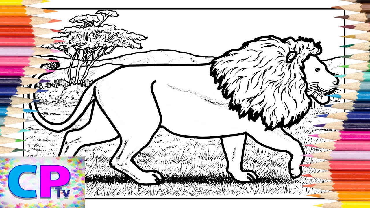 Lion Coloring Pages/Wild Animals Coloring/Lion the Greatest Animal/Diviners - Savannah[NCS Release]