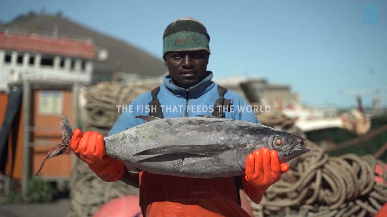South Africa's Albacore tuna pole & line fishery on its journey to sustainability | MSC