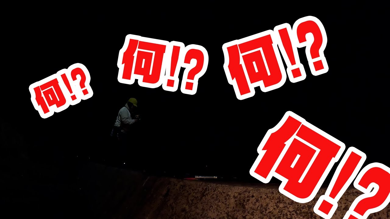 【深夜の長崎】全然狙ってもみなかった良い魚が釣れてびっくりした話