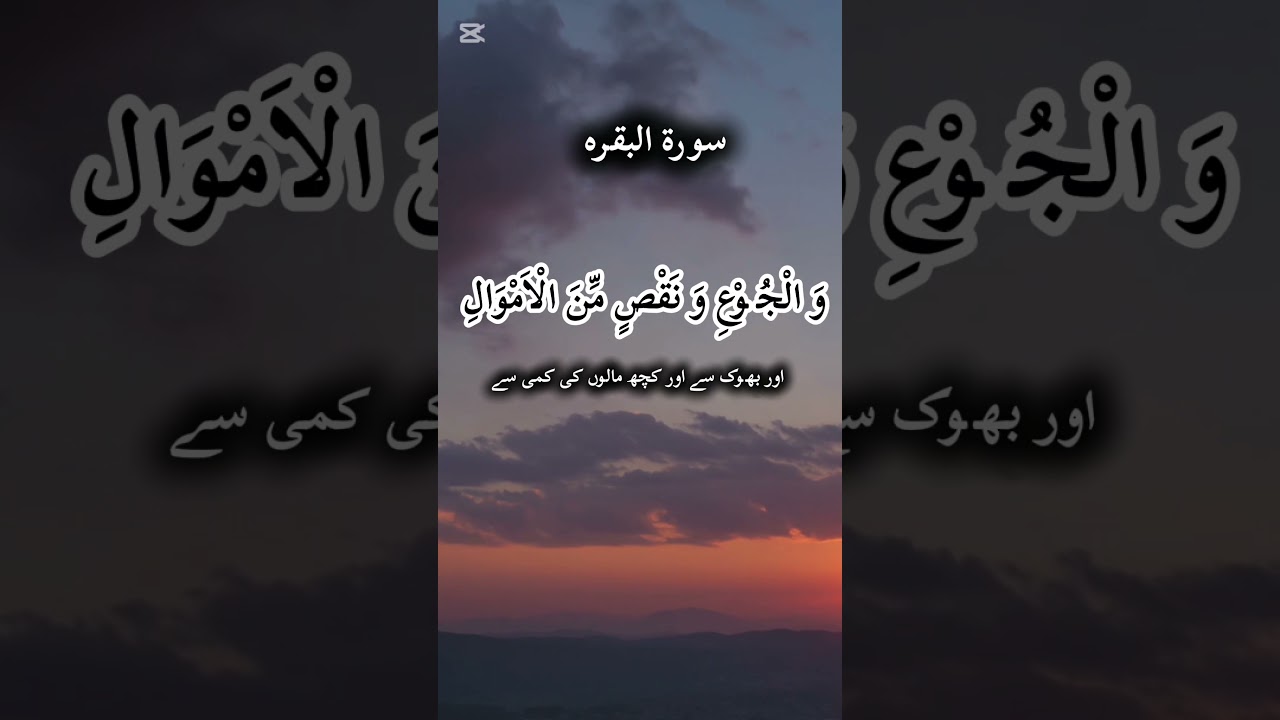 Relaxing quran recitation | Learn Tilawat easily | 