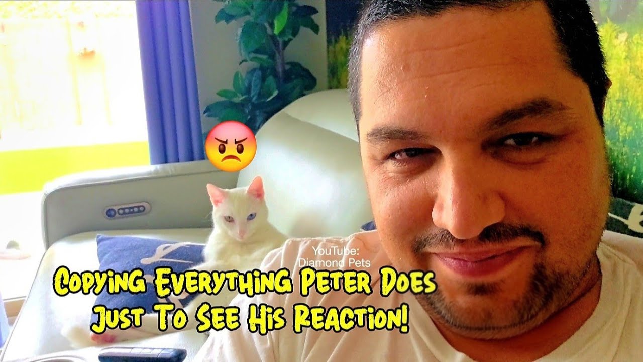 Copying everything Peter does just to see his reaction 😸😹