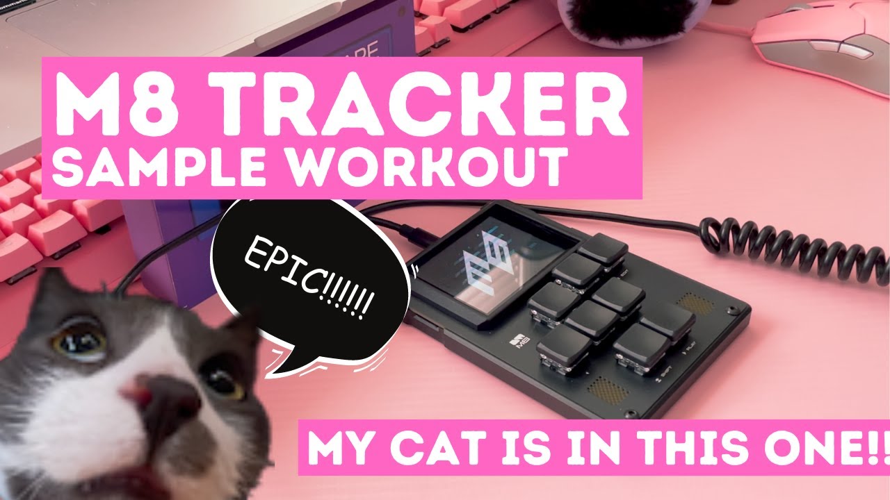 sample workout on the m8 tracker (beat from scratch)