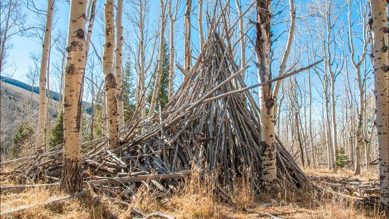 Mysterious Stick Structures may prove Bigfoot existence