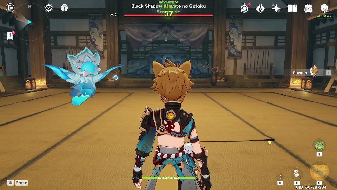 dog vs dog (gorou dps)