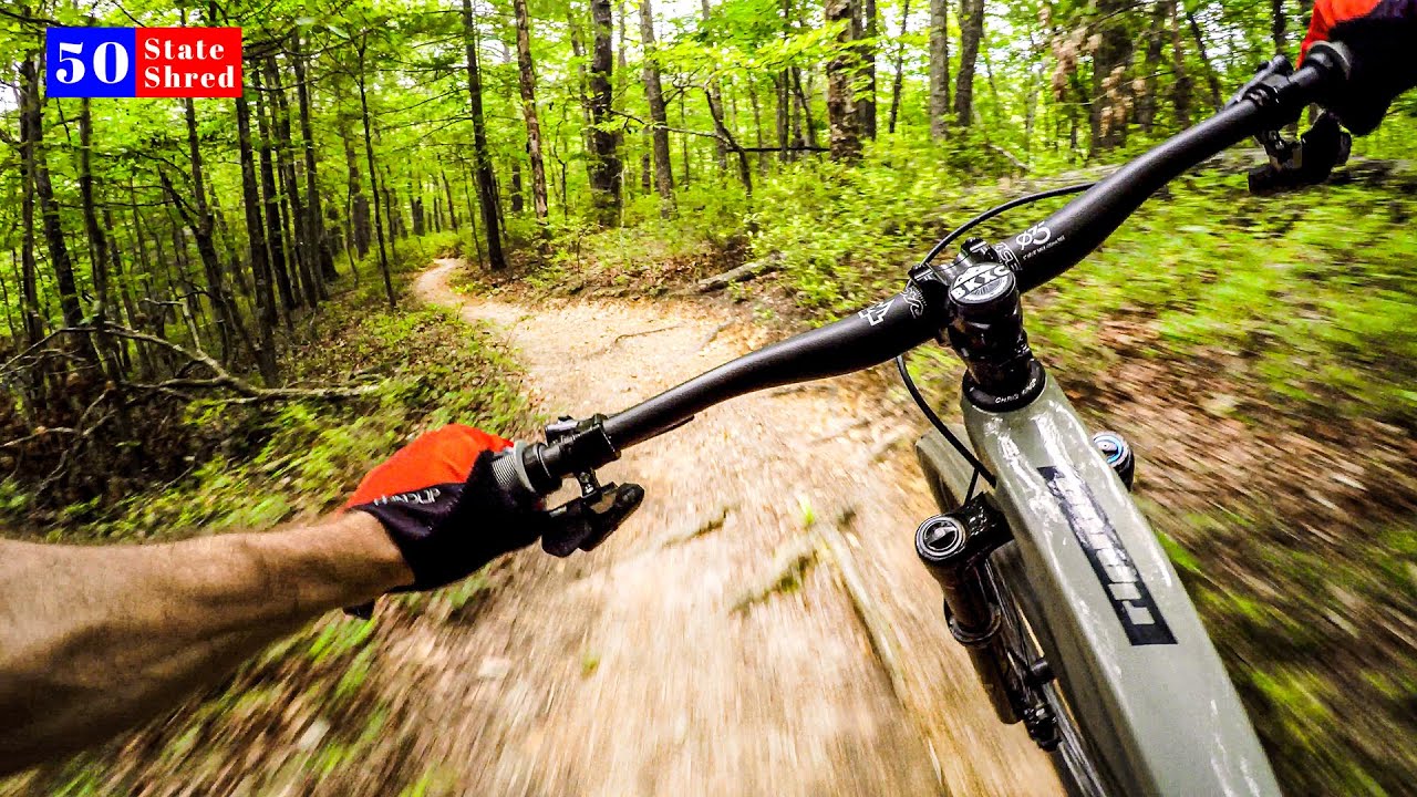 THE SECRET IS OUT 🇺🇸 50 STATE SHRED: VIRGINIA