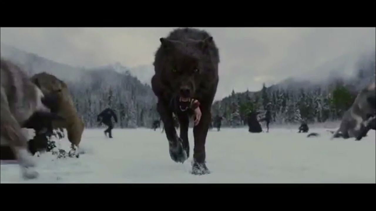 Twilight wolves ~ satisfya