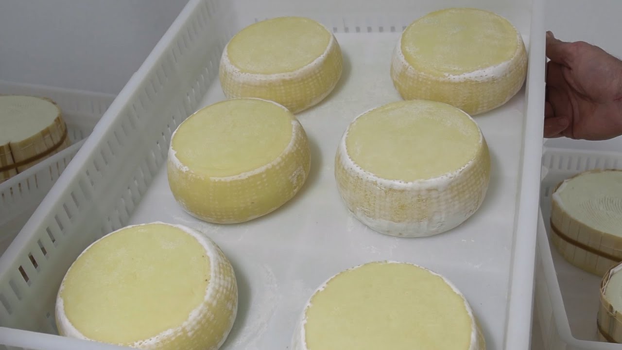 Che rischi per la salute comportano latte crudo e formaggi derivati?