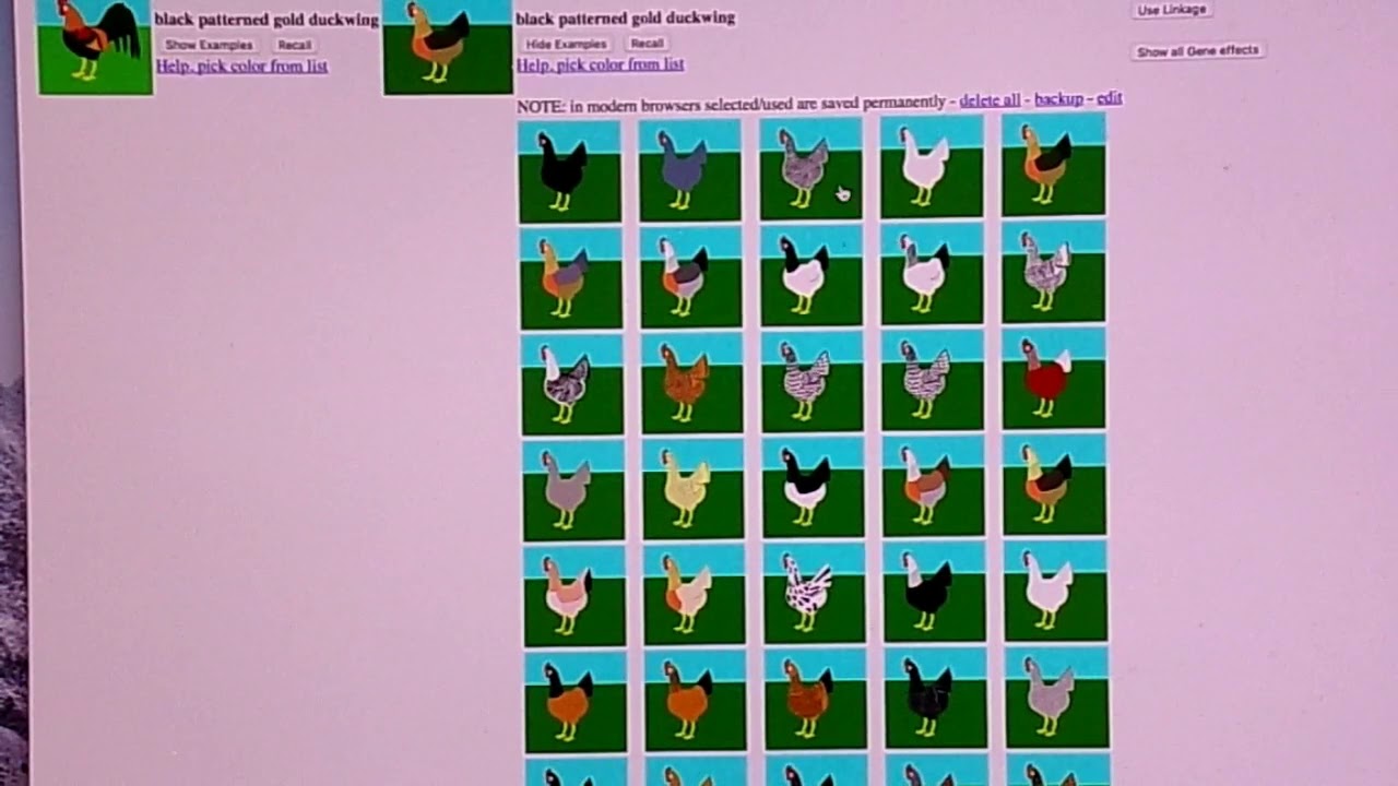 Chicken Color Calculator