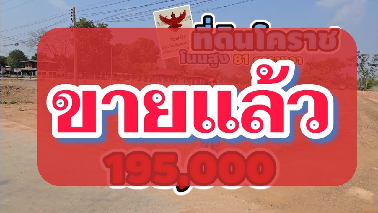 มาดามโอ๋ | ที่ดินโฉนดใกล้โคราช เริ่มแค่ 195,000 บาท! ถนนคอนกรีต–น้ำไฟครบ พร้อมพาเดินดูทุกแปลง