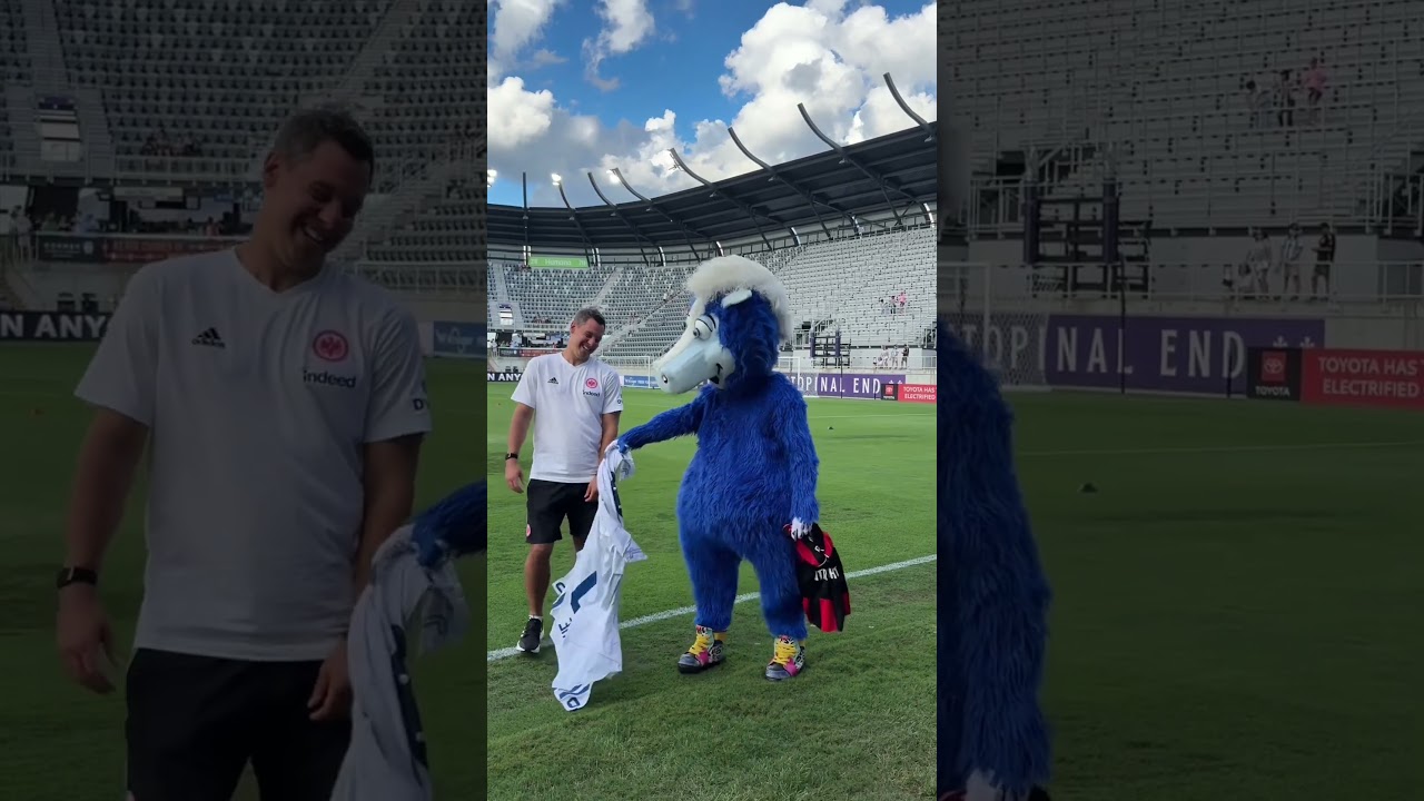 Habt ihr schon mal so ein verr&uuml;cktes Maskottchen gesehen? 🐴 Das ist Blue von den Colts! #shorts
