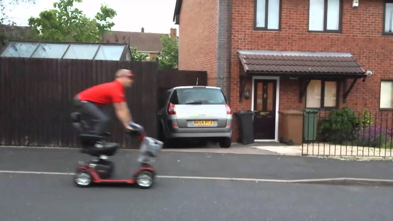 Beechdale Whip