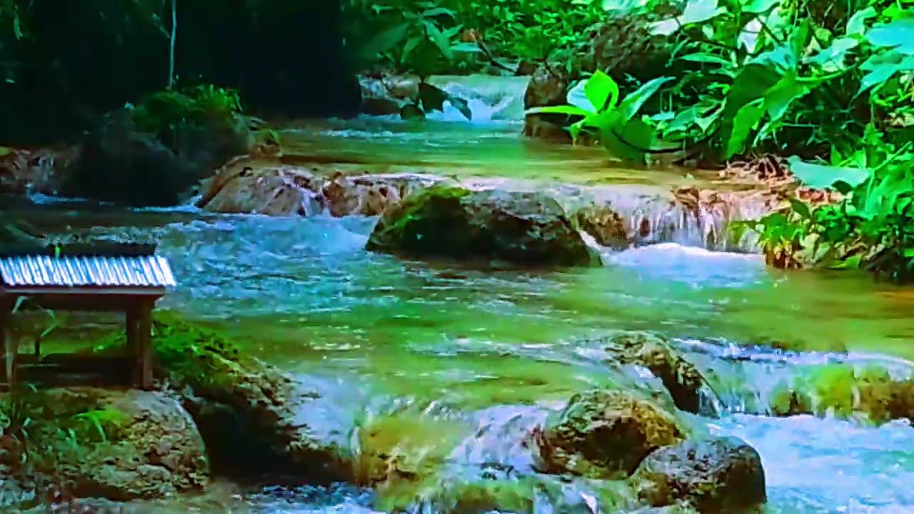 Relaxing river ASMR that makes millions