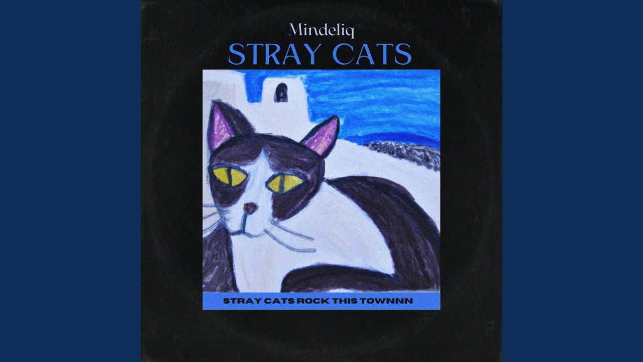 Stray Cats