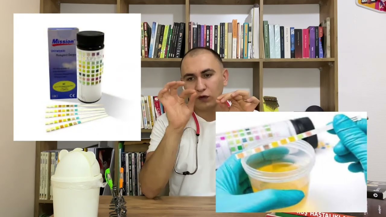 Kedilerde idrar yolu problemi 🙀🚨☠️ #veteriner #kedibakımı #keşfet