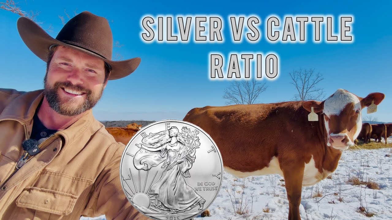 The Silver to Cattle Ratio Is Telling Us Something BIG