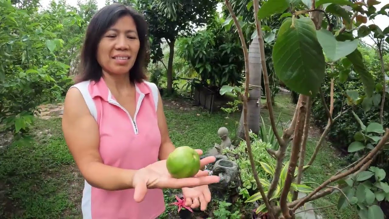 BackYard Update with Filipino Lady
