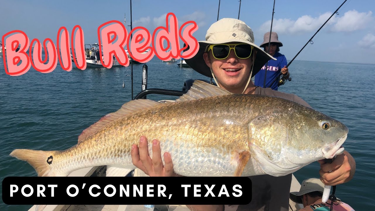 Port O'Connor Jetty Bull Reds