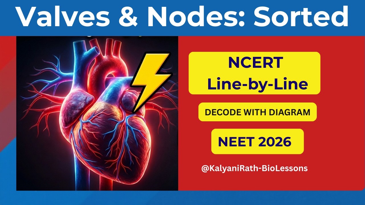 Heart Anatomy 101: Never Forget the Valves & Nodes Again! 🔥 (NEET 2026 Special)