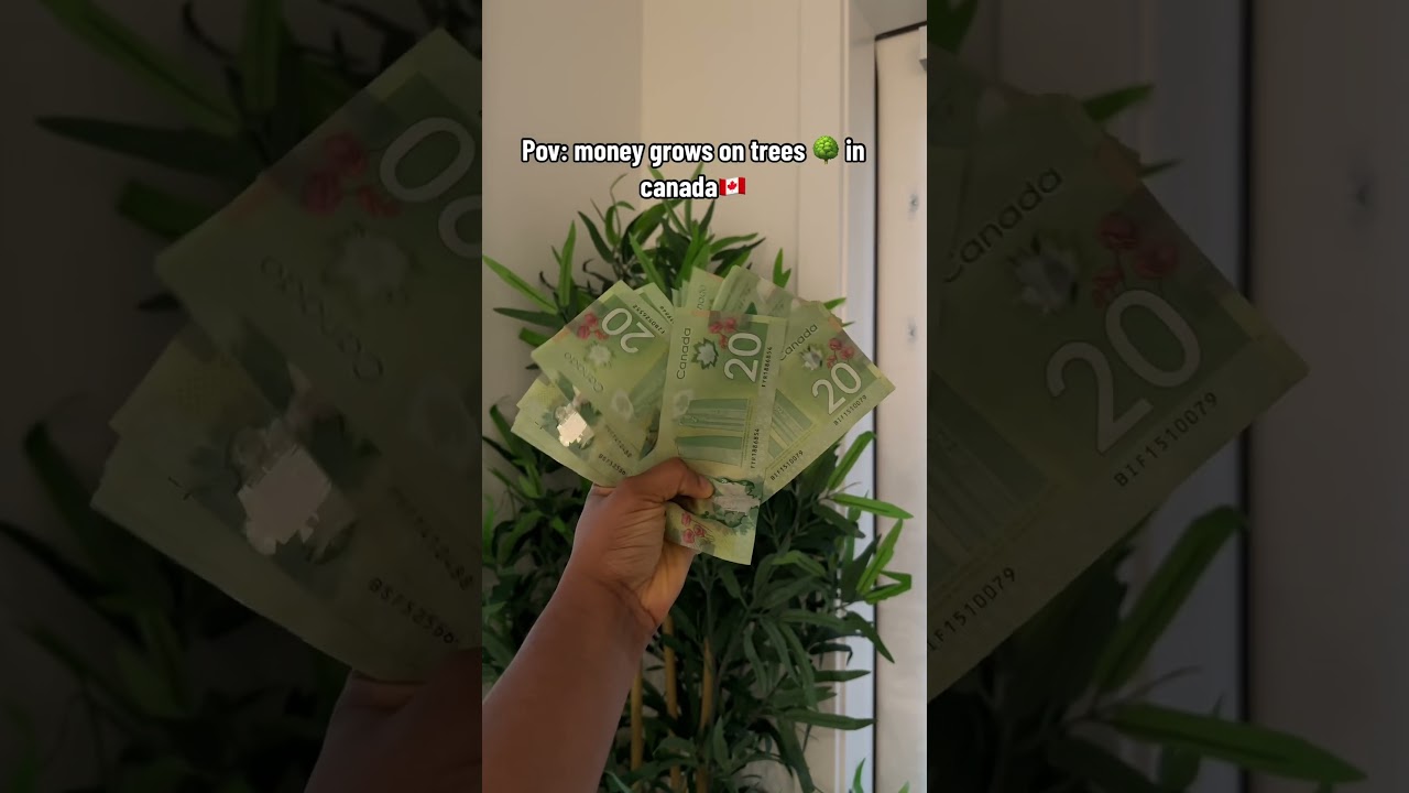 Money grows on trees in Canada 🇨🇦 #shorts #jokes #money #tracyamande