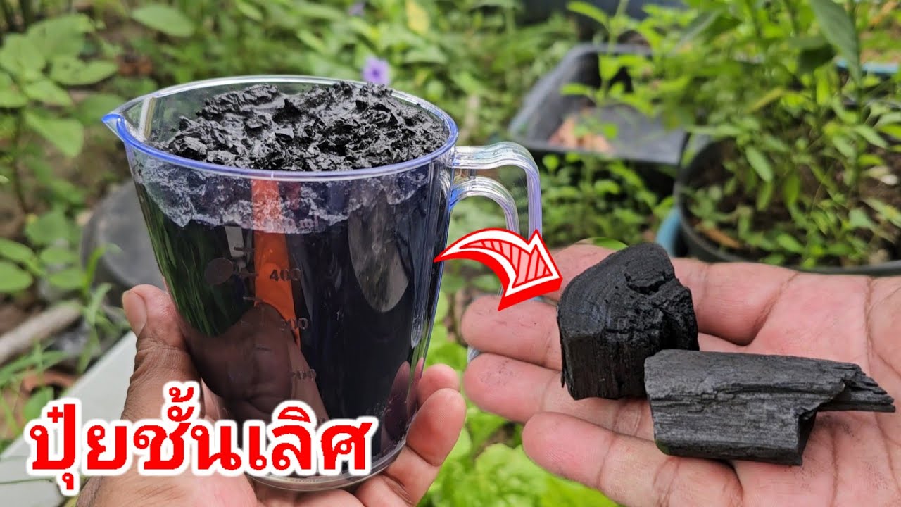 ปุ๋ยจากถ่าน งบ  0 บาท เร่งพืชโตเร็ว ดินไม่เสื่อมสภาพ แต่คุณภาพเทียบเท่าปุ๋ยเคมี