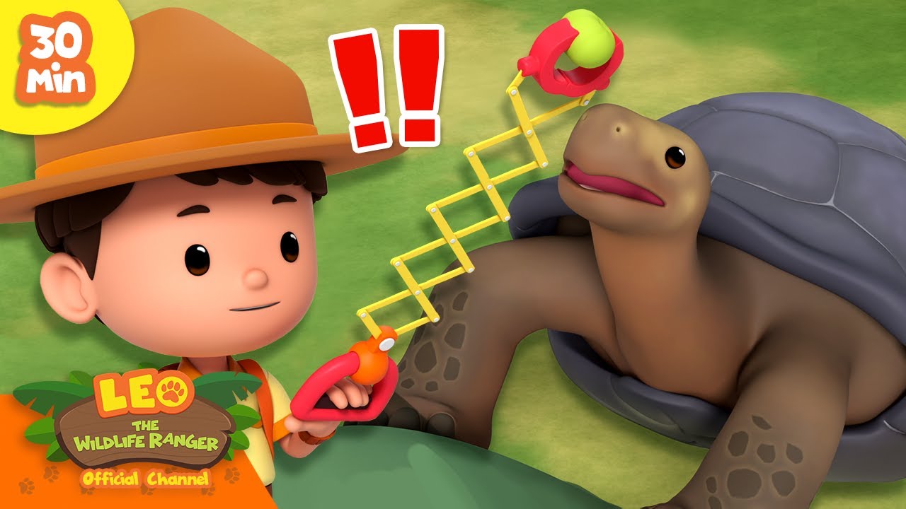FETCH THE BALL, TORTOISE! 🐢 | Hardest Shells 🐚 | Leo the Wildlife Ranger | Kids Cartoons