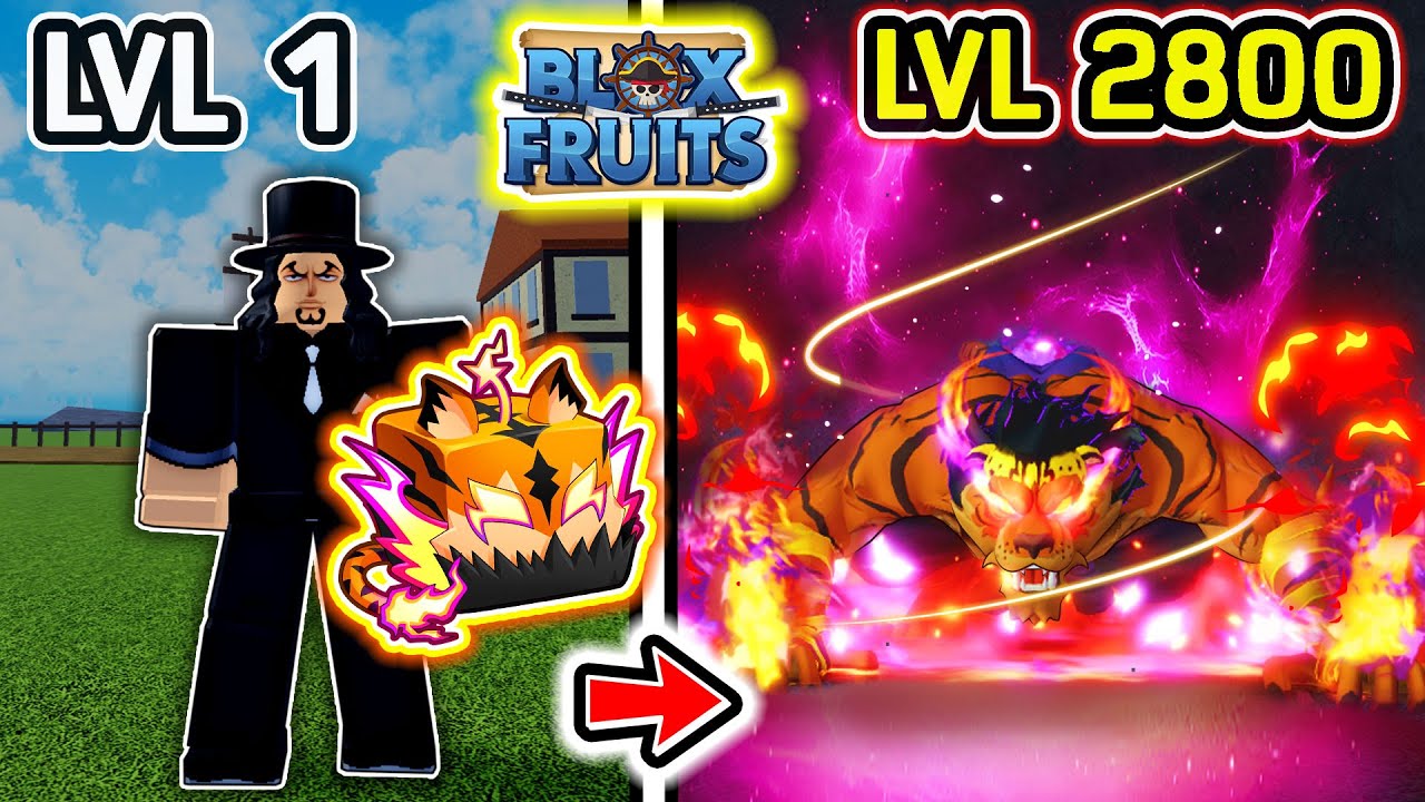 Blox Fruits เวล 1 ถึง 2800 คลิปเดียวจบ!! | ลุจจิ ผลเสือ Rework ปรับใหม่ ตัน !!