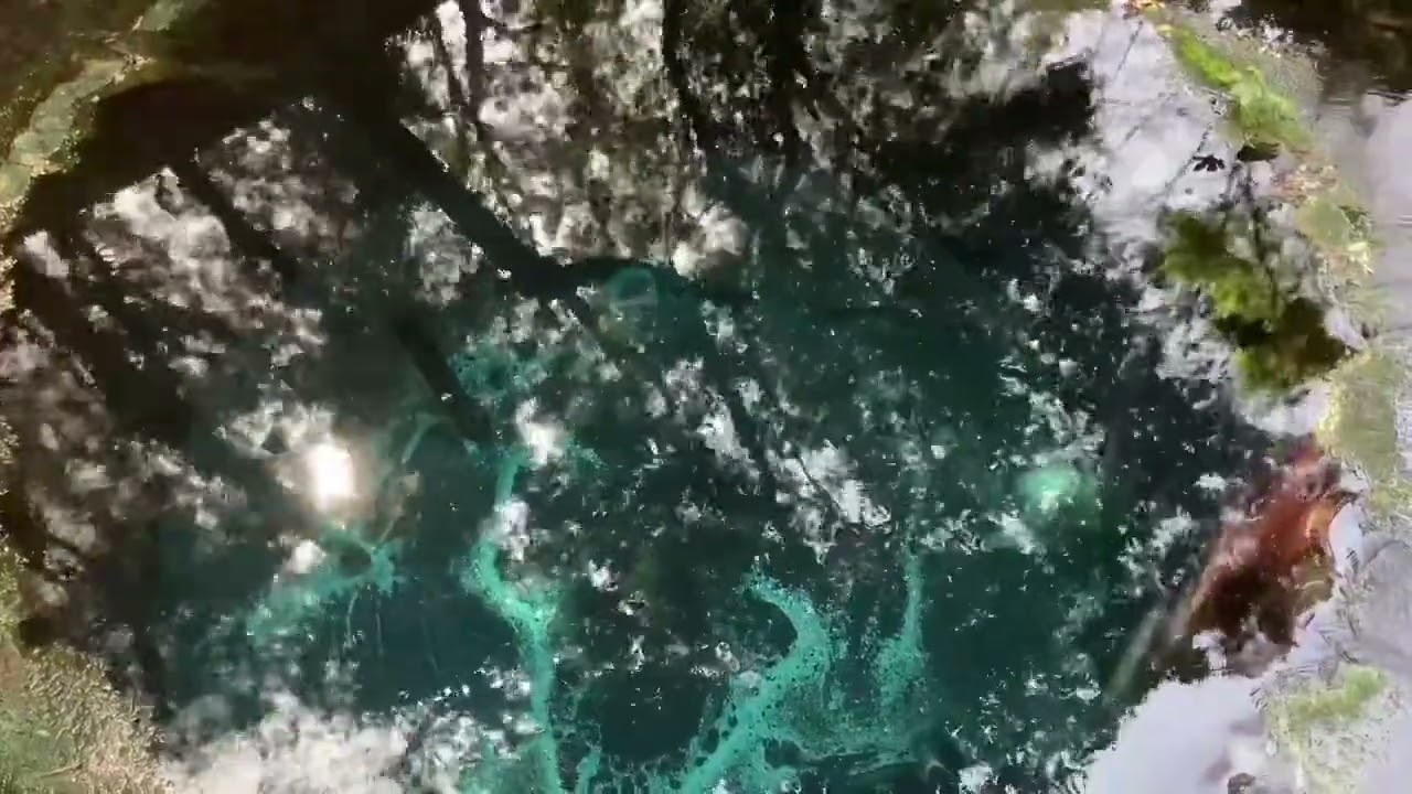 【水の音・睡眠】柿田川湧水群