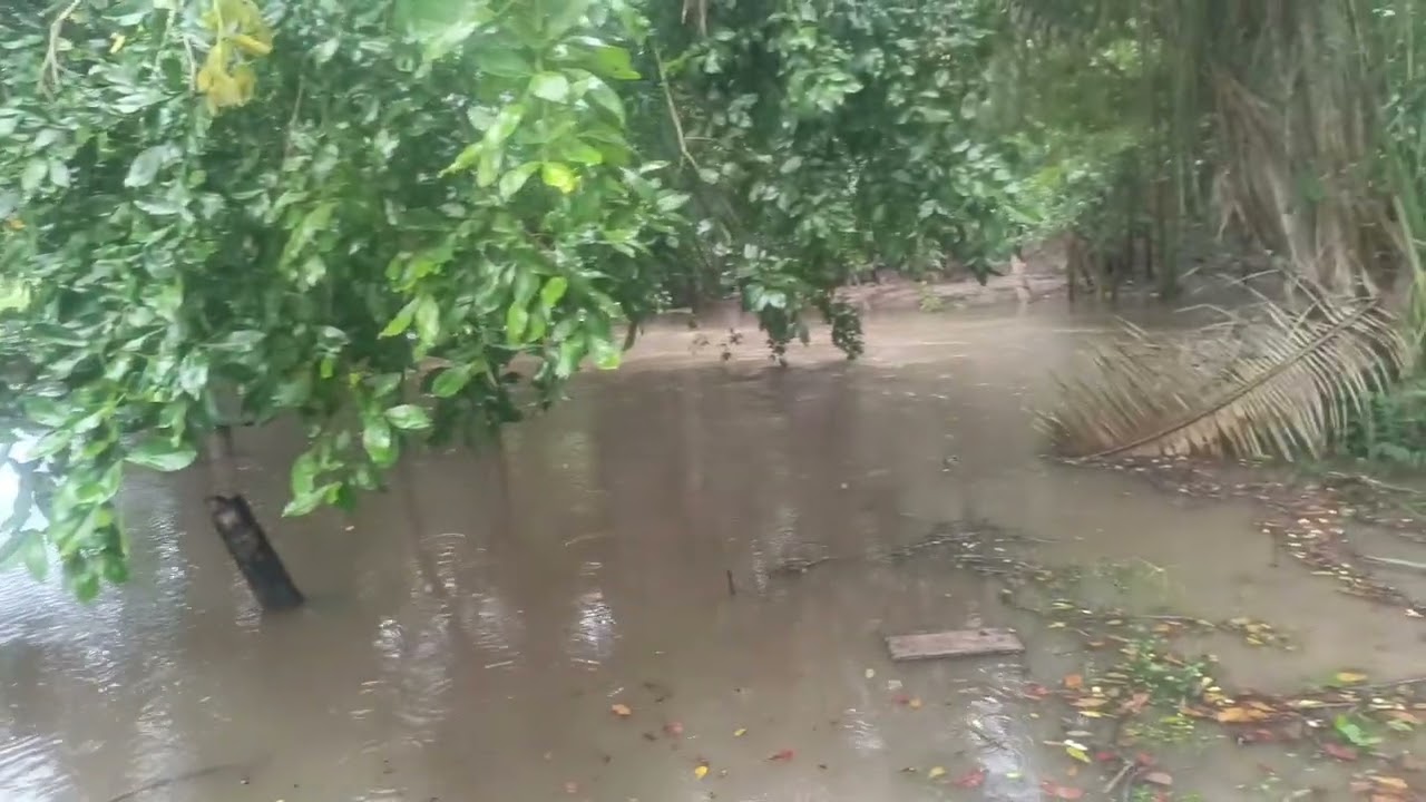 Final de semana no sítio do baiano 